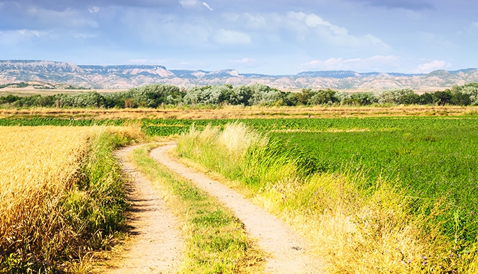 Proposition de loi visant à renforcer la protection des chemins ruraux